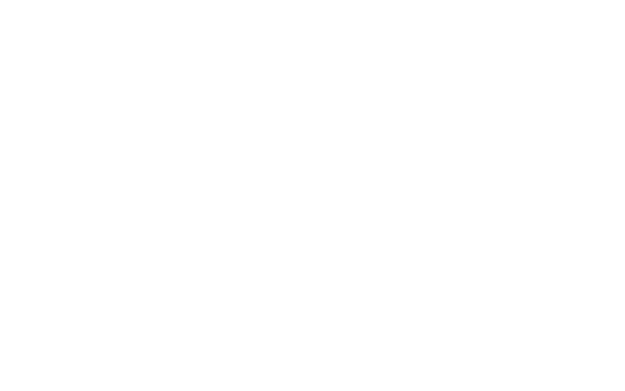 Southern Circuit Tour of Independent Filmmakers