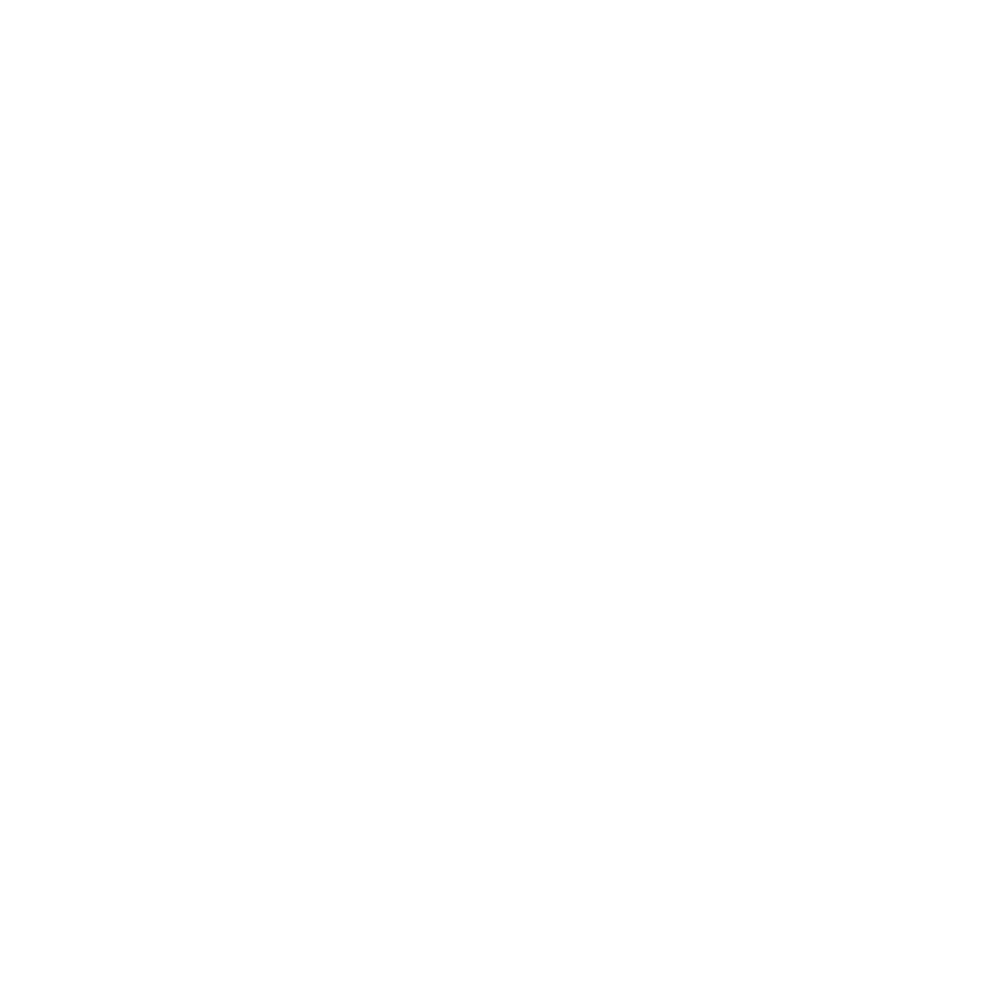 Southern Voices/Global Visions: Southern Curators Summit