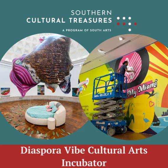Diaspora Vibe Cultural Arts Incubator